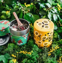 Autour Du Thé|Compagnie & Co Boite à thé illustrée KYOTO