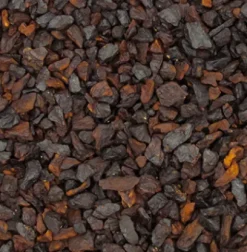 Tisanes|Compagnie & Co Chicorée