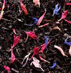 Coffrets De Thés|Rooibos|Compagnie & Co Coffret Noël 4x30g