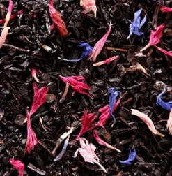 Coffrets De Thés|Rooibos|Compagnie & Co Coffret Noël/Neiges/Austral 3x30g