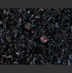 Thés Glacés|Thés Fruités|Compagnie & Co Trois Fruits Noirs